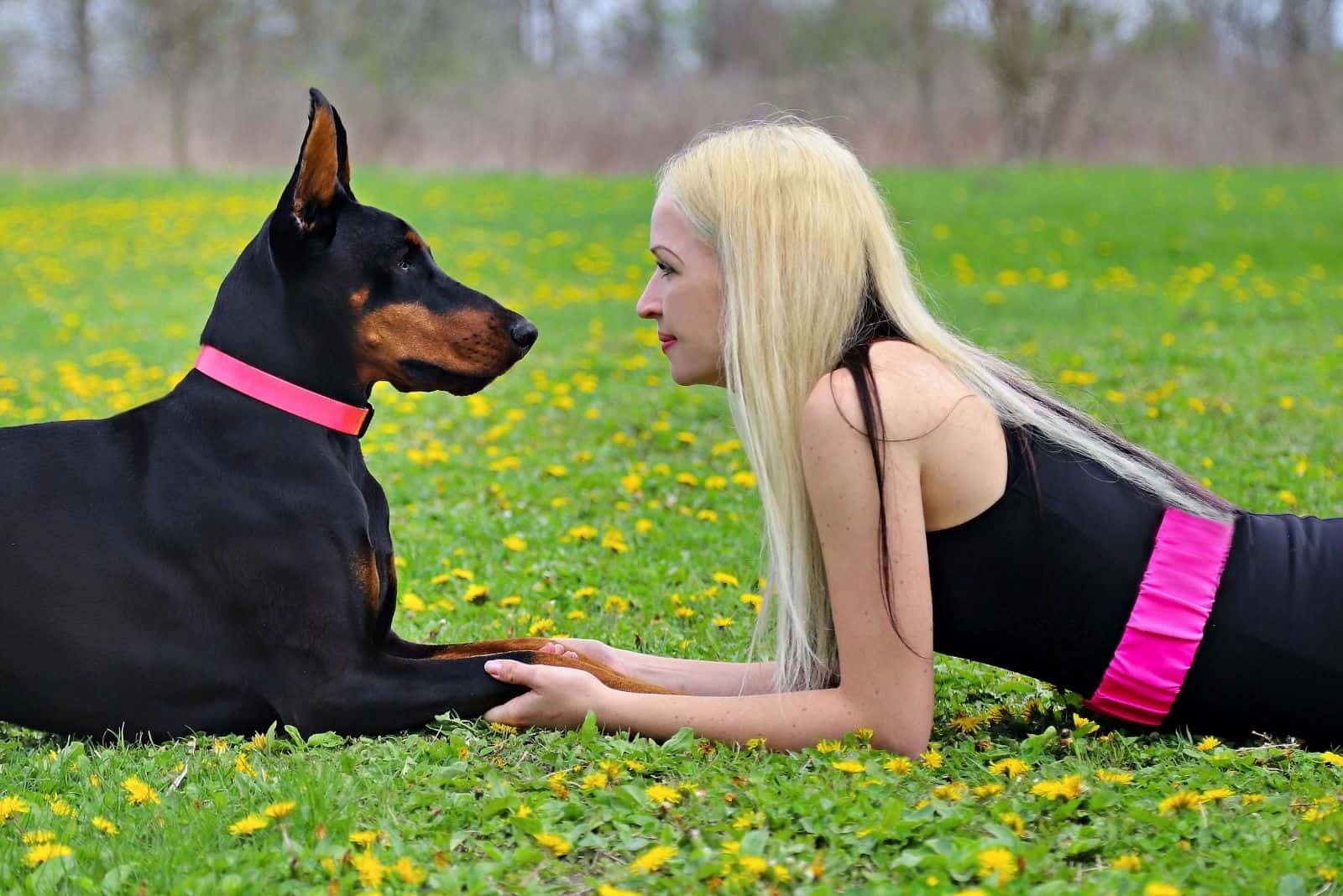 woman facing a doberman lying down in the ground outdoors