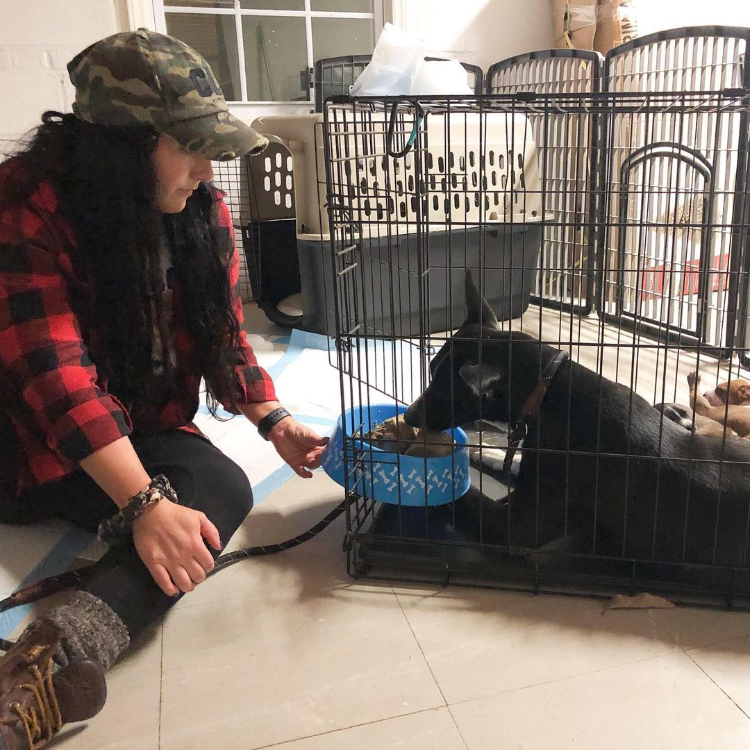 woman feeding the dog in the kennel