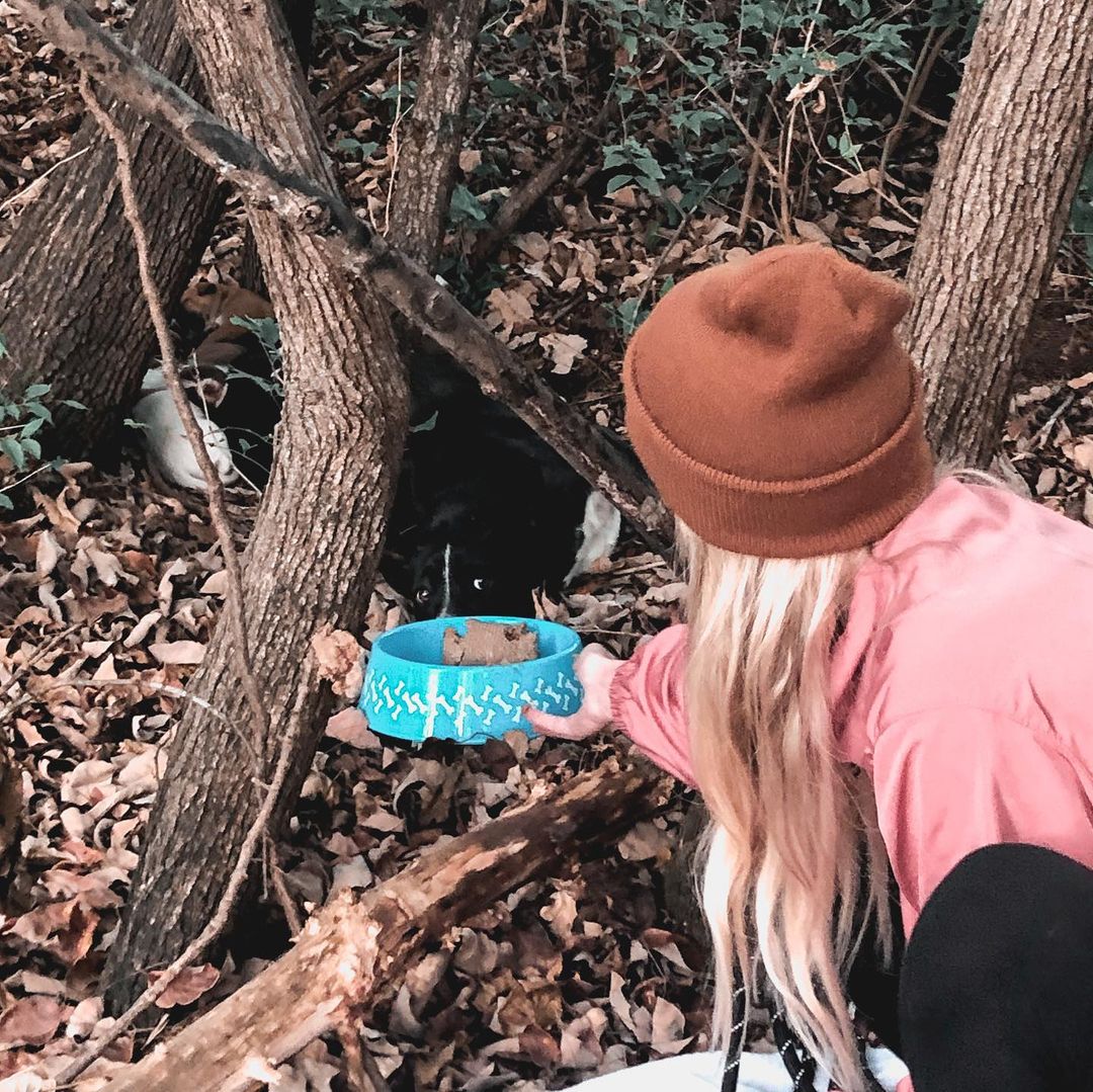 woman feeding the dog in the woods