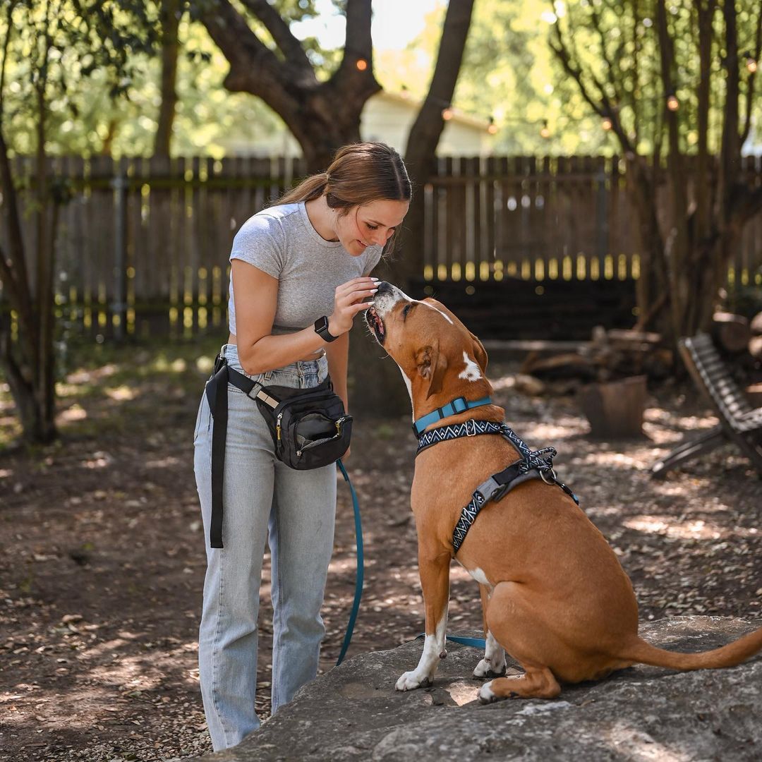 woman feeding the dog while he is sitting