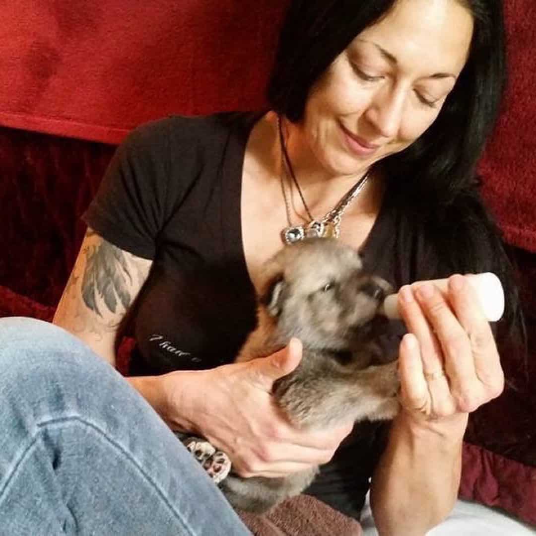 woman feeding wolfdog