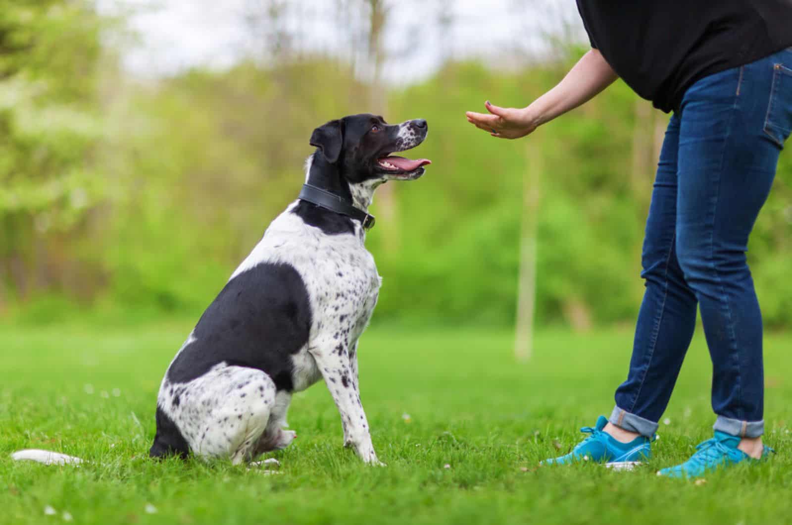 woman gives command to a dog in the park