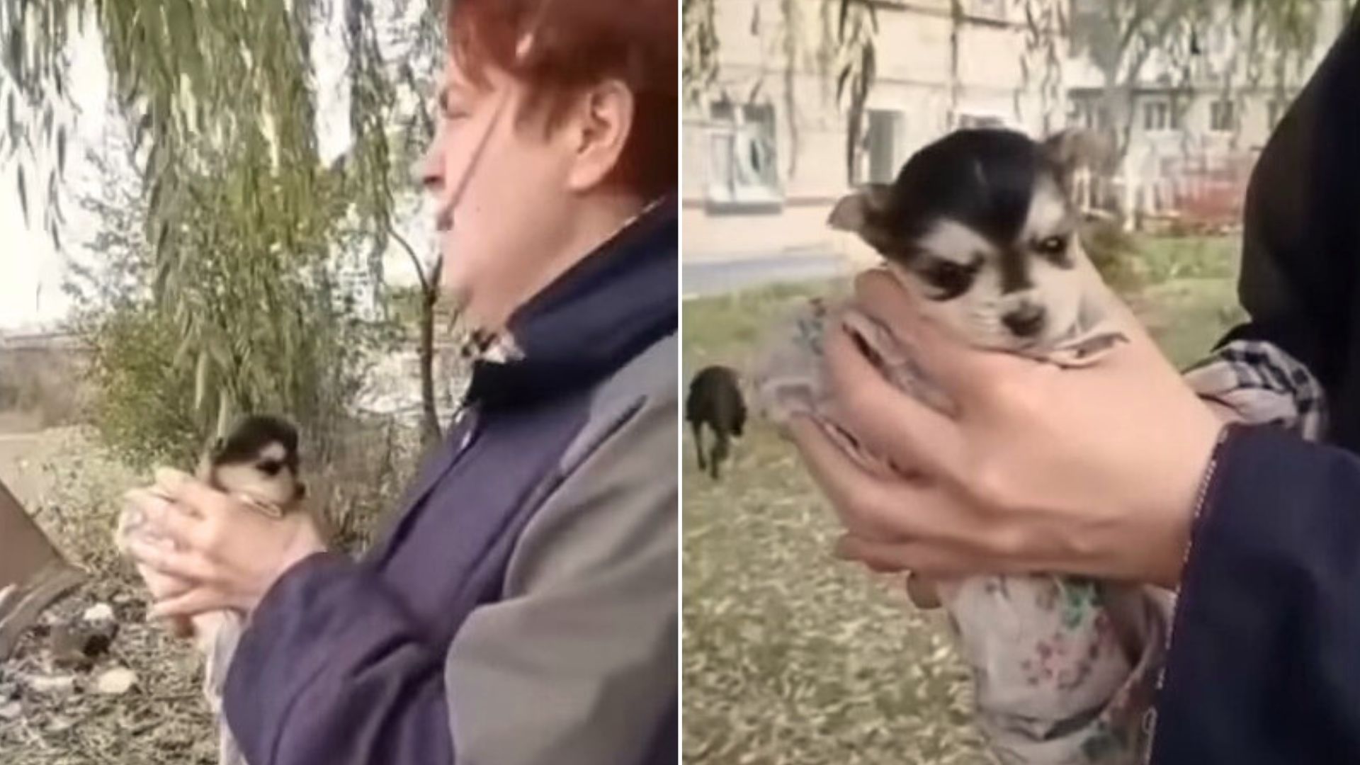 Woman Who Decided To Investigate Strange Noise Coming From Trash Bin Couldn’t Believe What She Saw