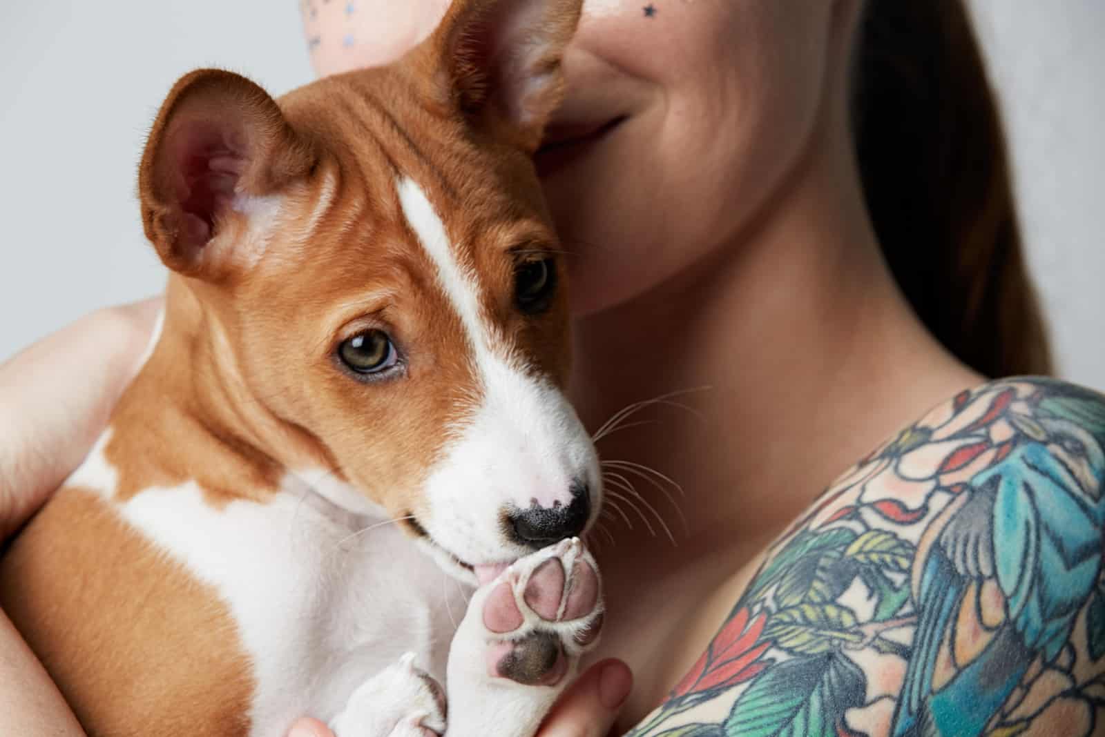 woman holding a basenji puppy