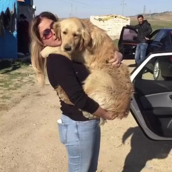 woman holding a dog