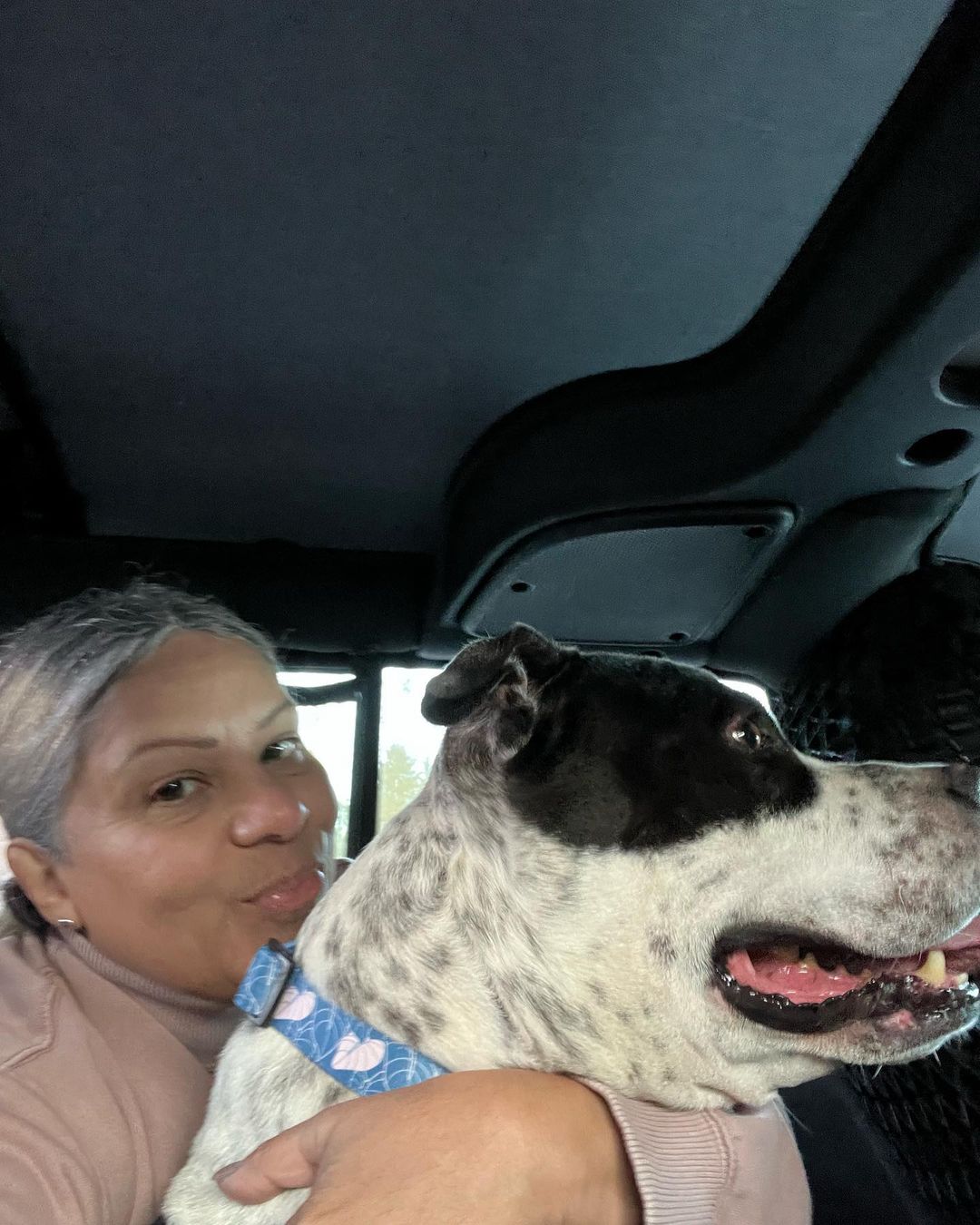 woman holding a dog in a car
