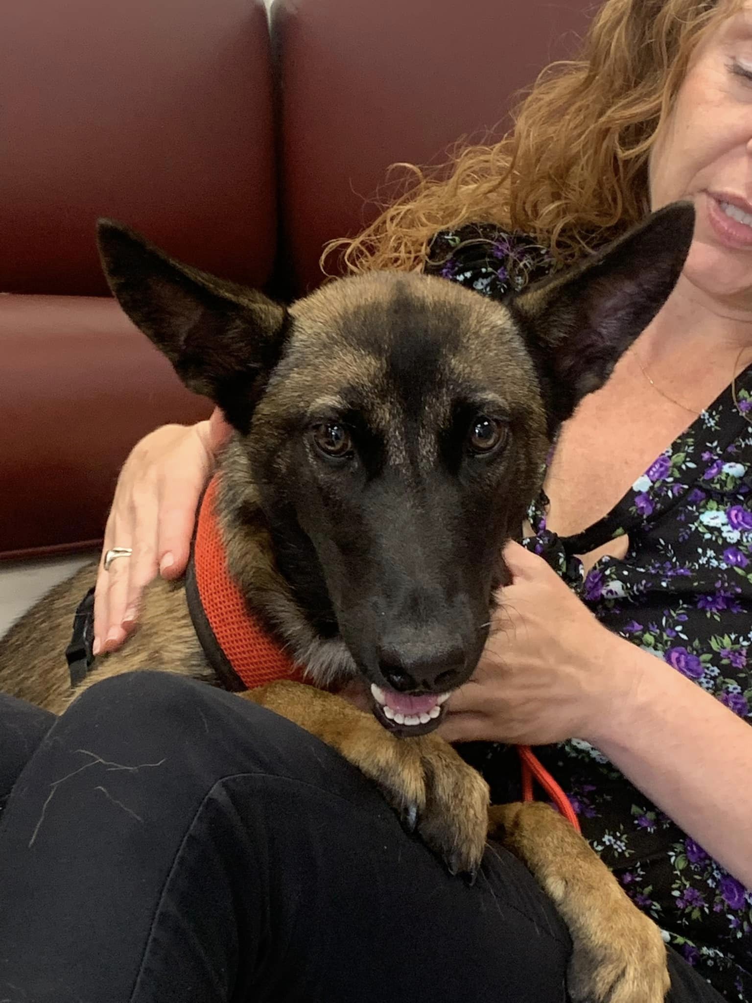 woman holding a dog in her lap