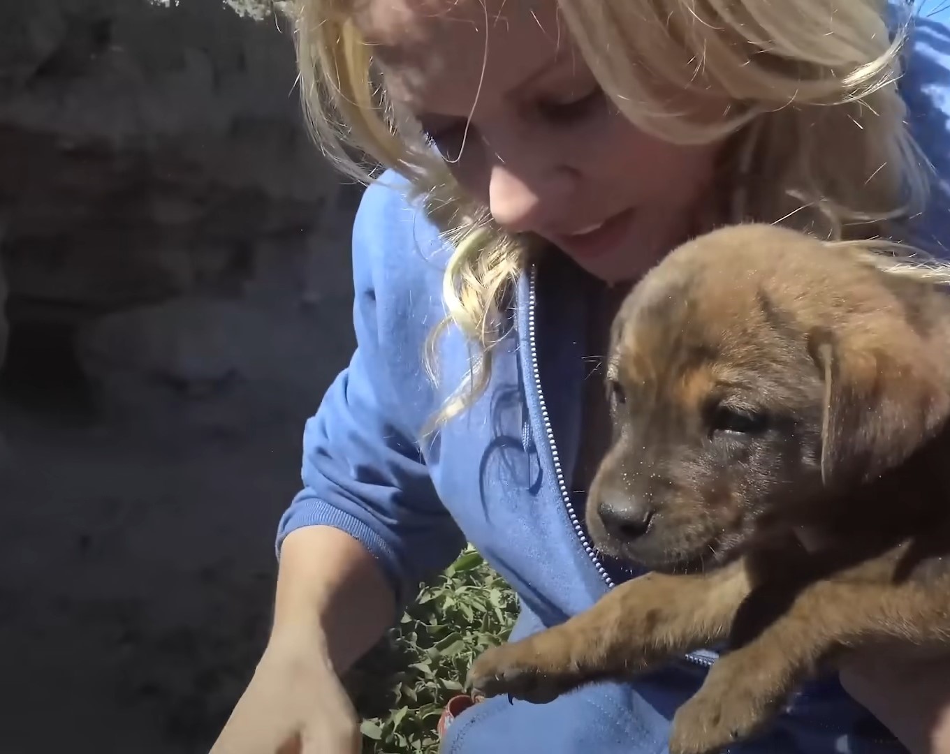 woman holding a puppy