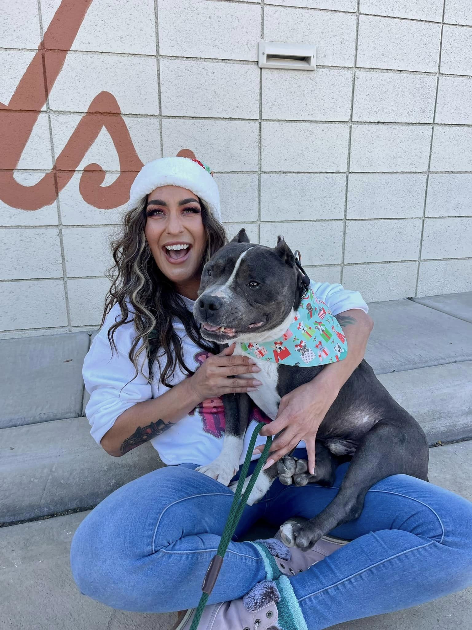 woman holding a senior pitbull