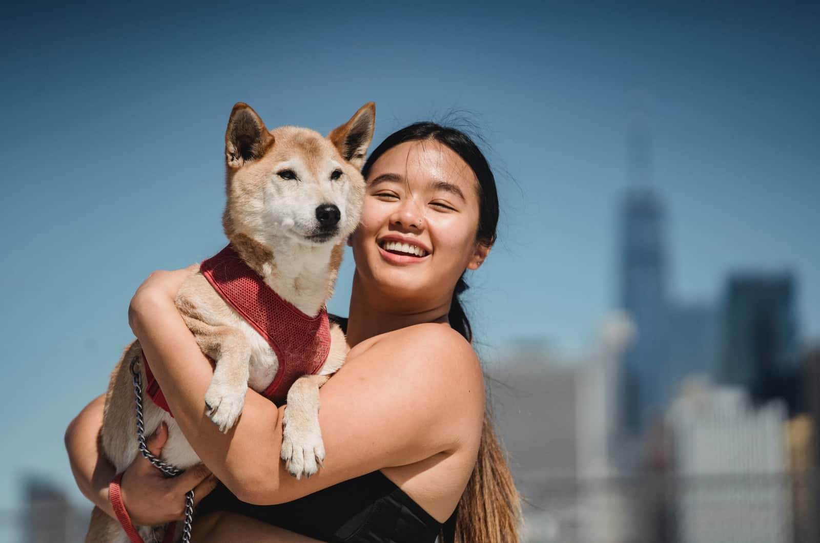 woman holding a shiba inu