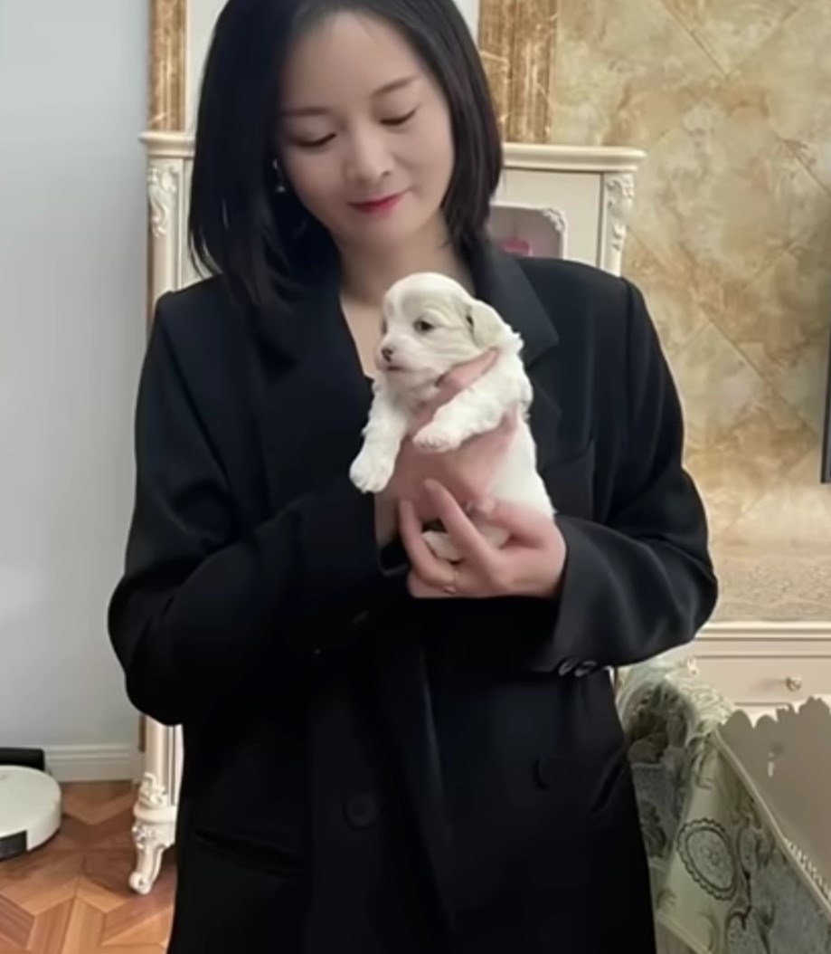 woman holding a small puppy