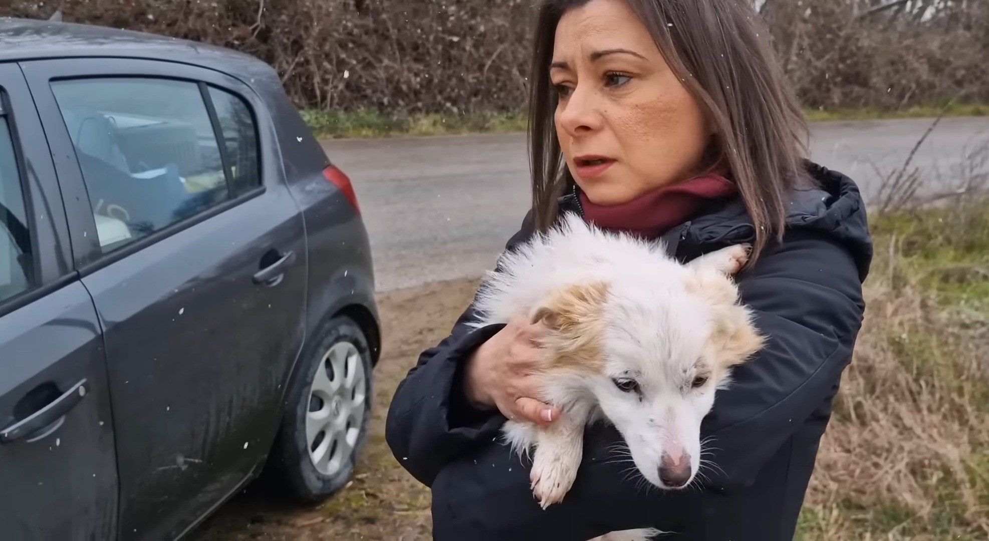 woman holding a white dog