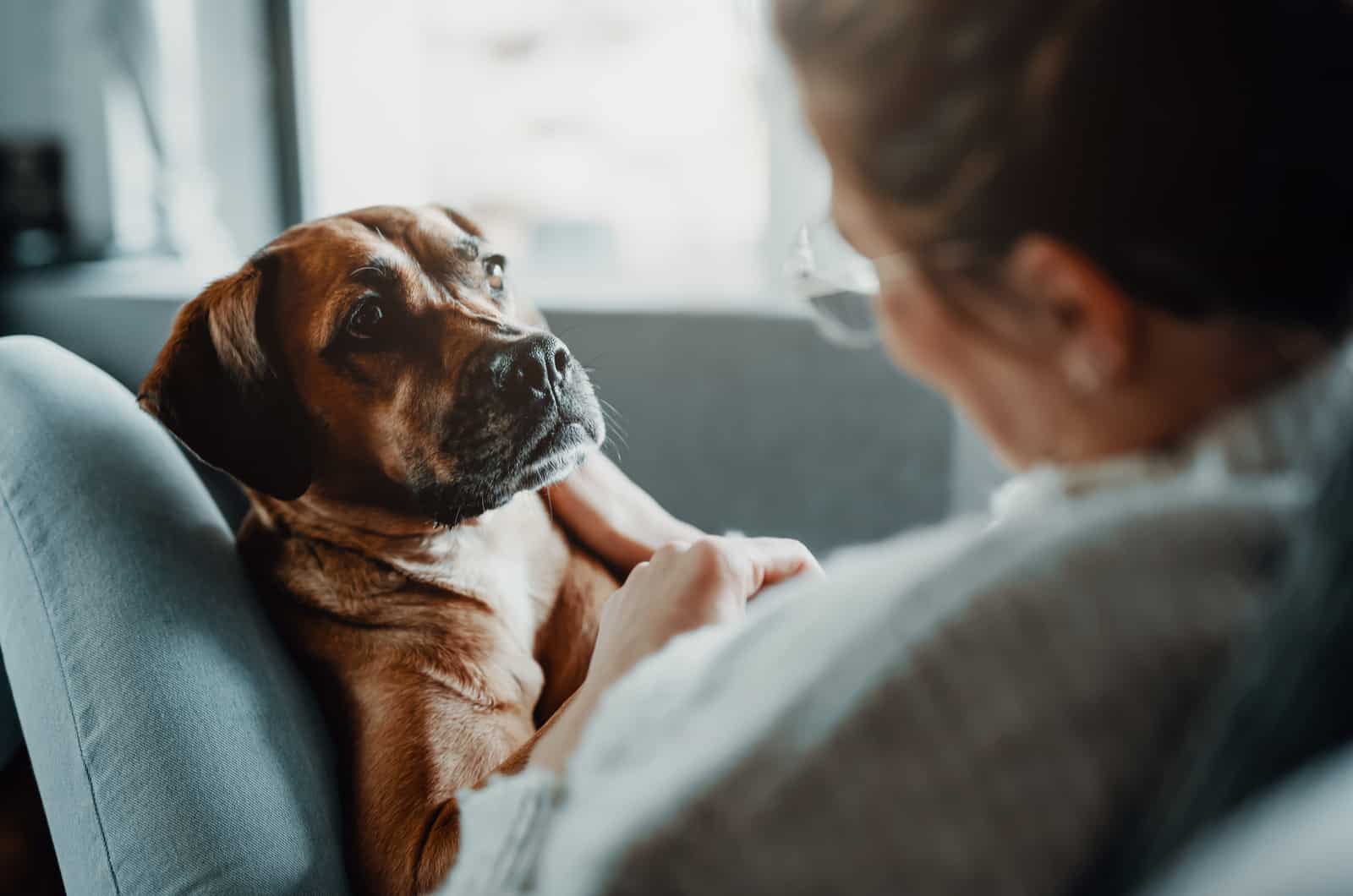 woman holding dog indoors