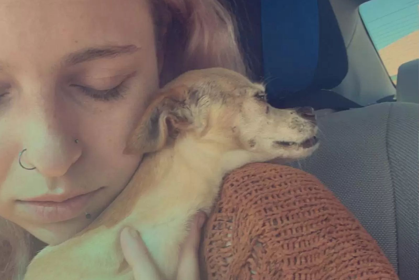 woman holding dog jazzy on her shoulder