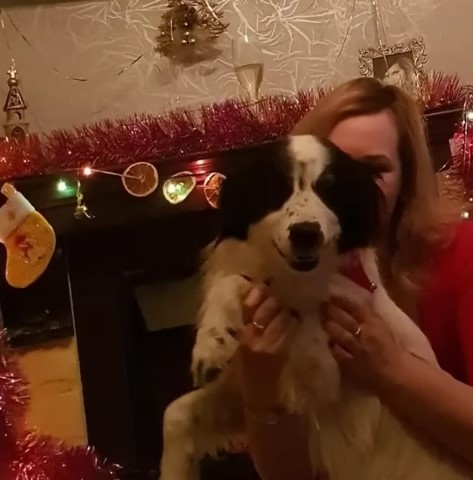 woman holding happy dog