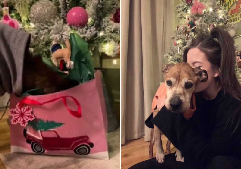 woman holding her newly adopted dog