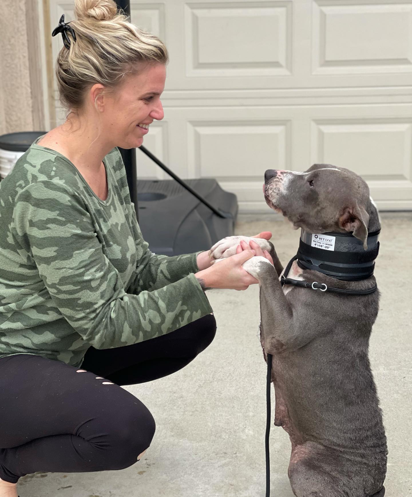 woman holding pitbull by paws