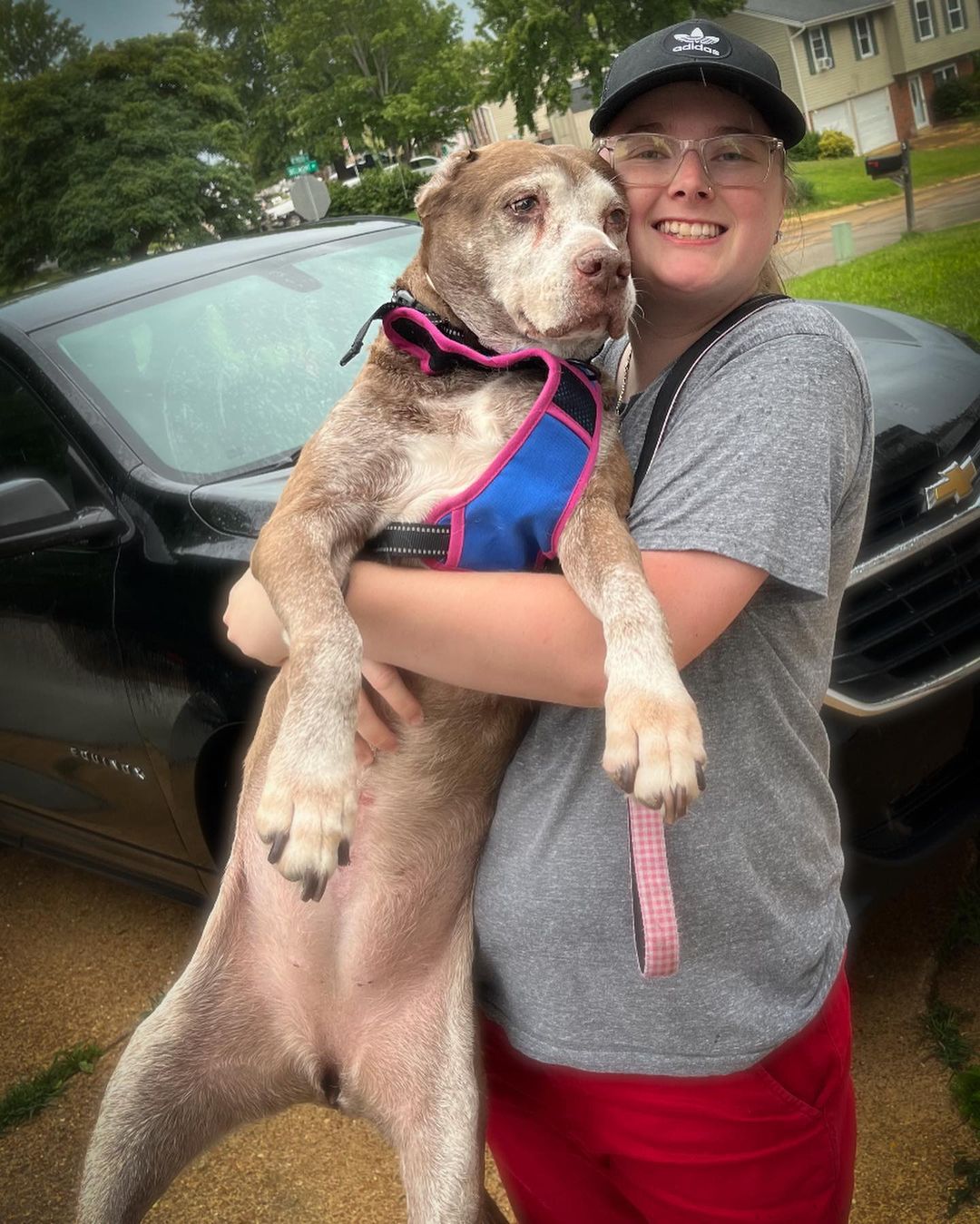 woman holding the dog