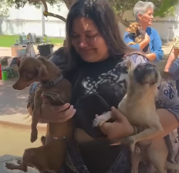 woman holding two dogs