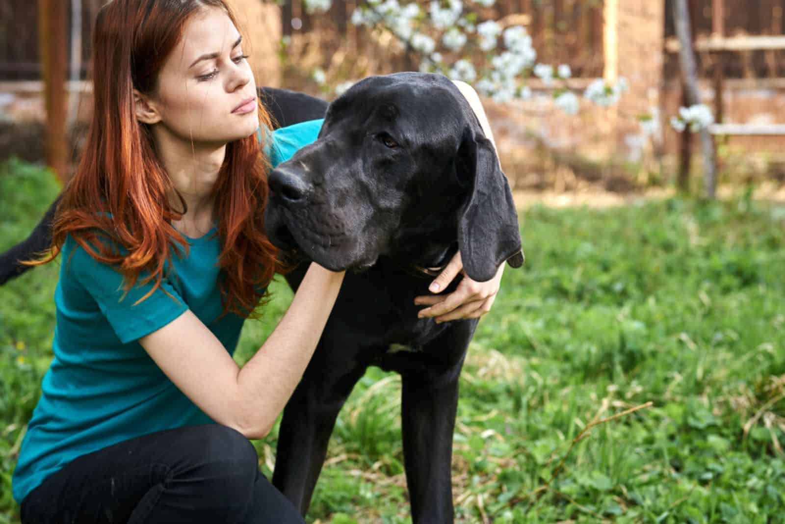 woman hugging great dane dog in the garden