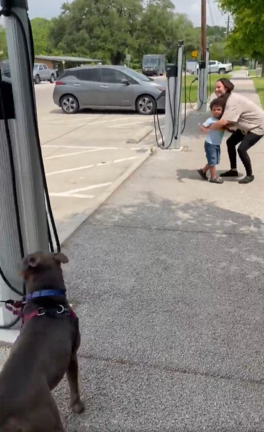 woman hugging little kid looking at the dog in front of them