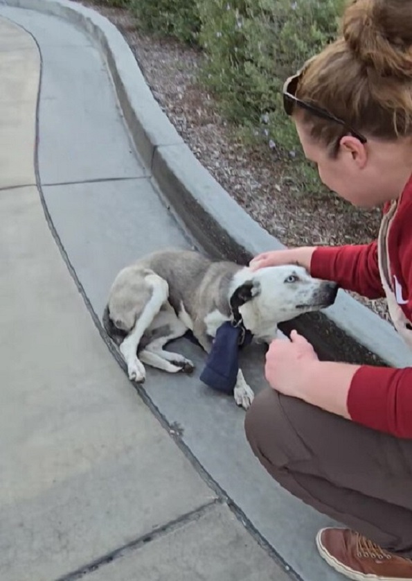 woman in red hoodie and dog