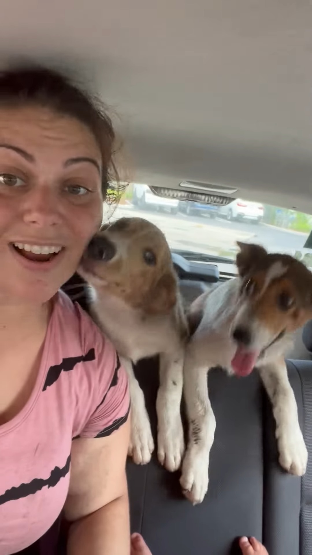 woman in the car with two puppies