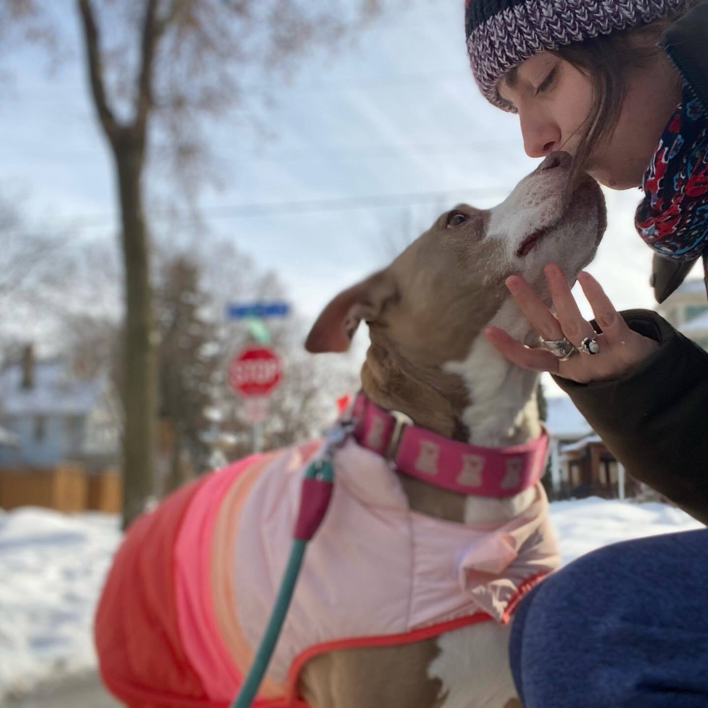 woman kissing pittie