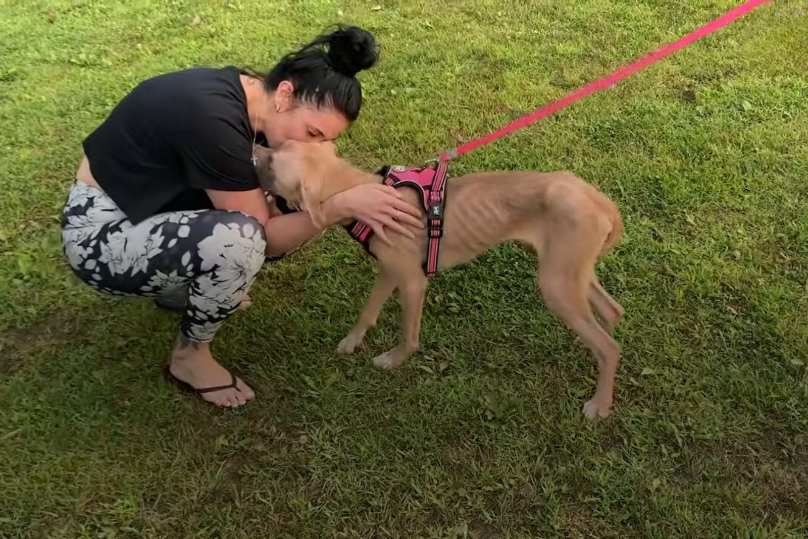 woman kissing skinny dog