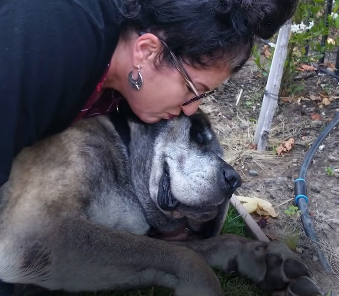 woman kissing the dog