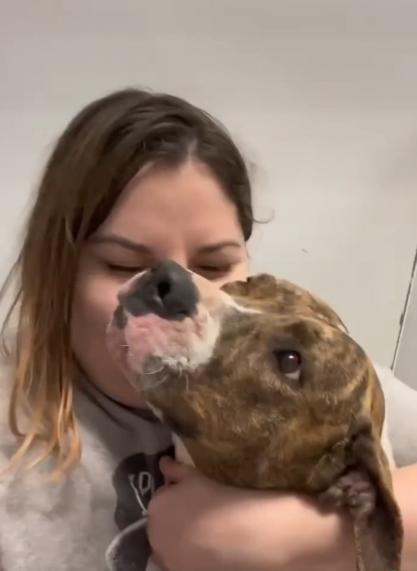 woman kissing the dog