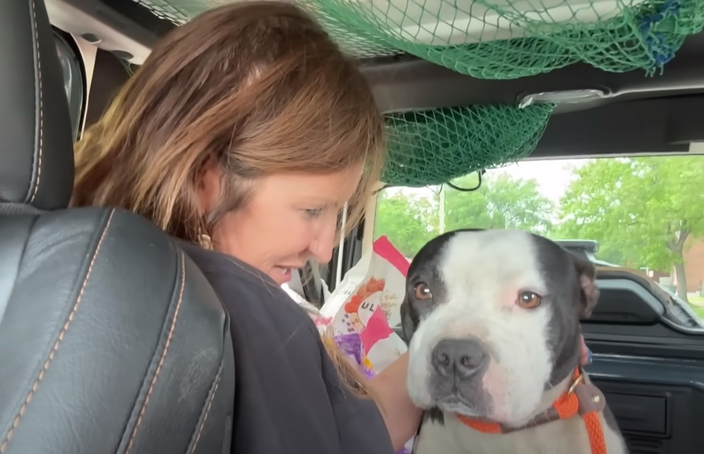 woman looking at dog