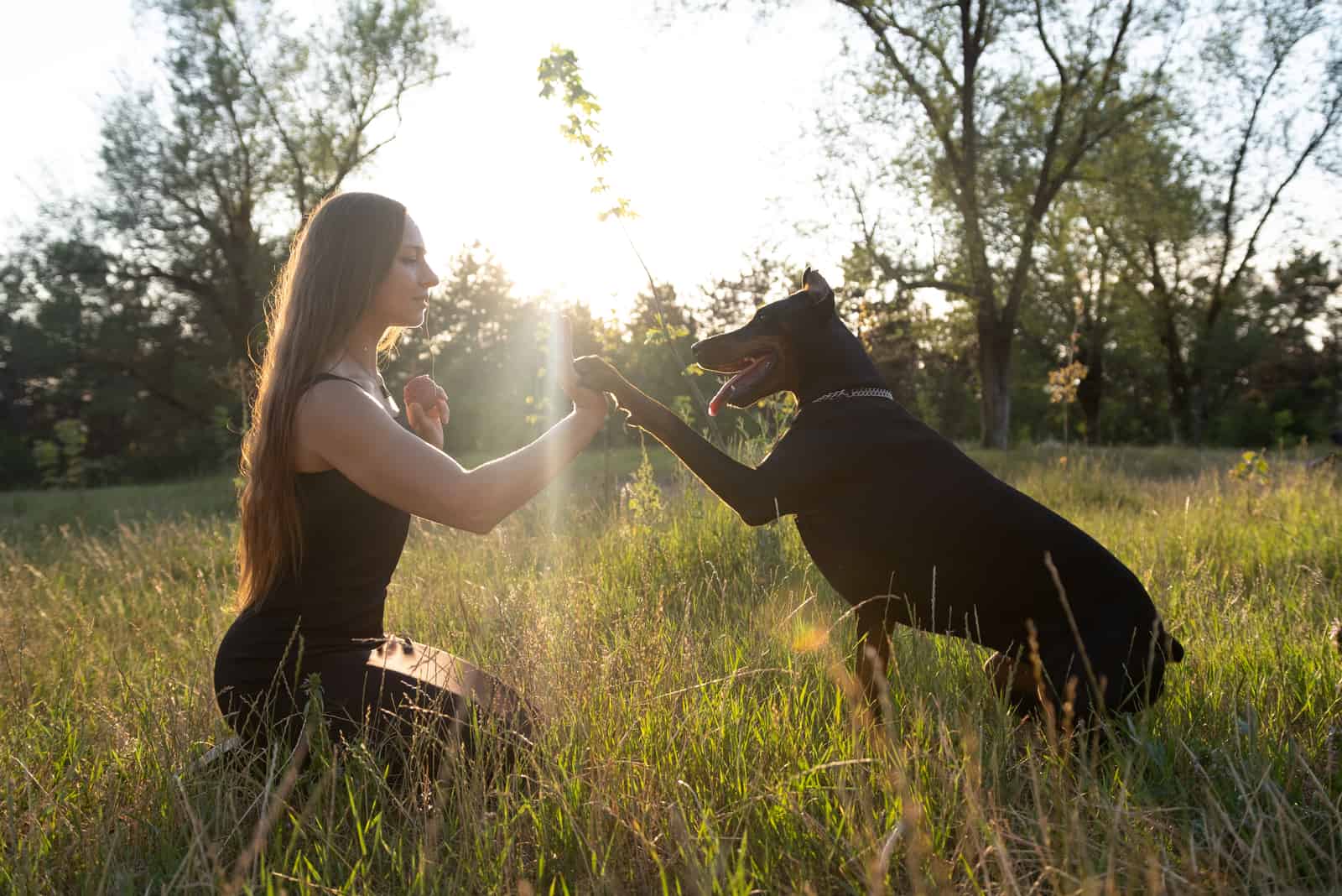 woman makes high five to her pet