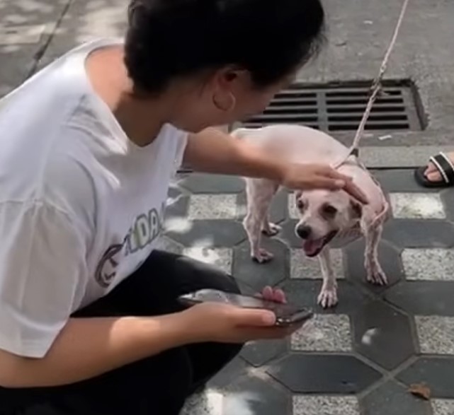 woman petting the dog