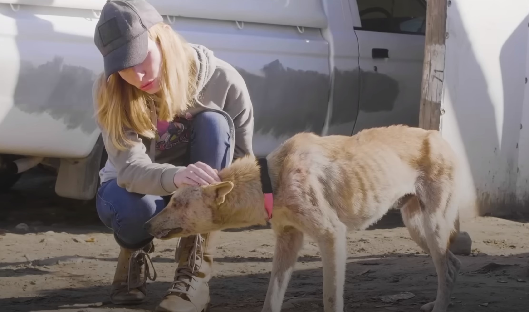 woman petting the dog