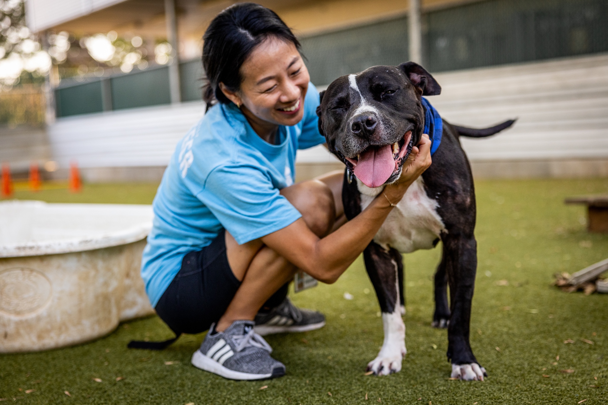 woman petting the shelter dog