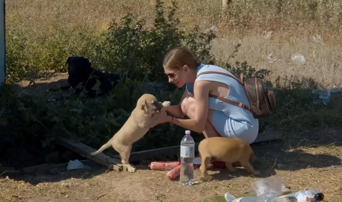 woman playing with puppy