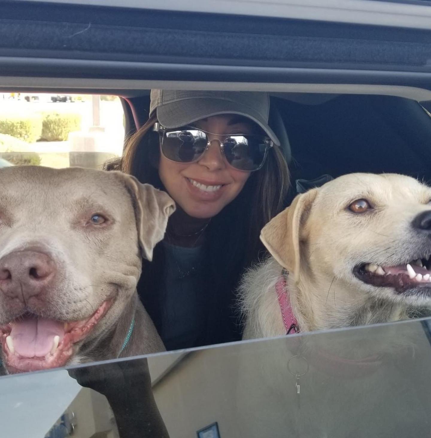 woman posing with dogs