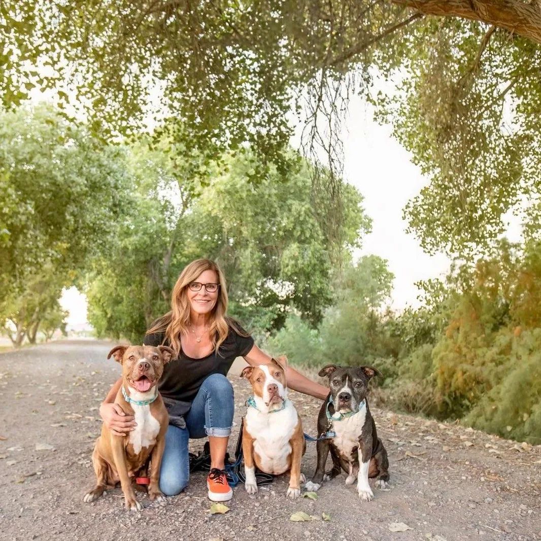 woman posing with pitbulls
