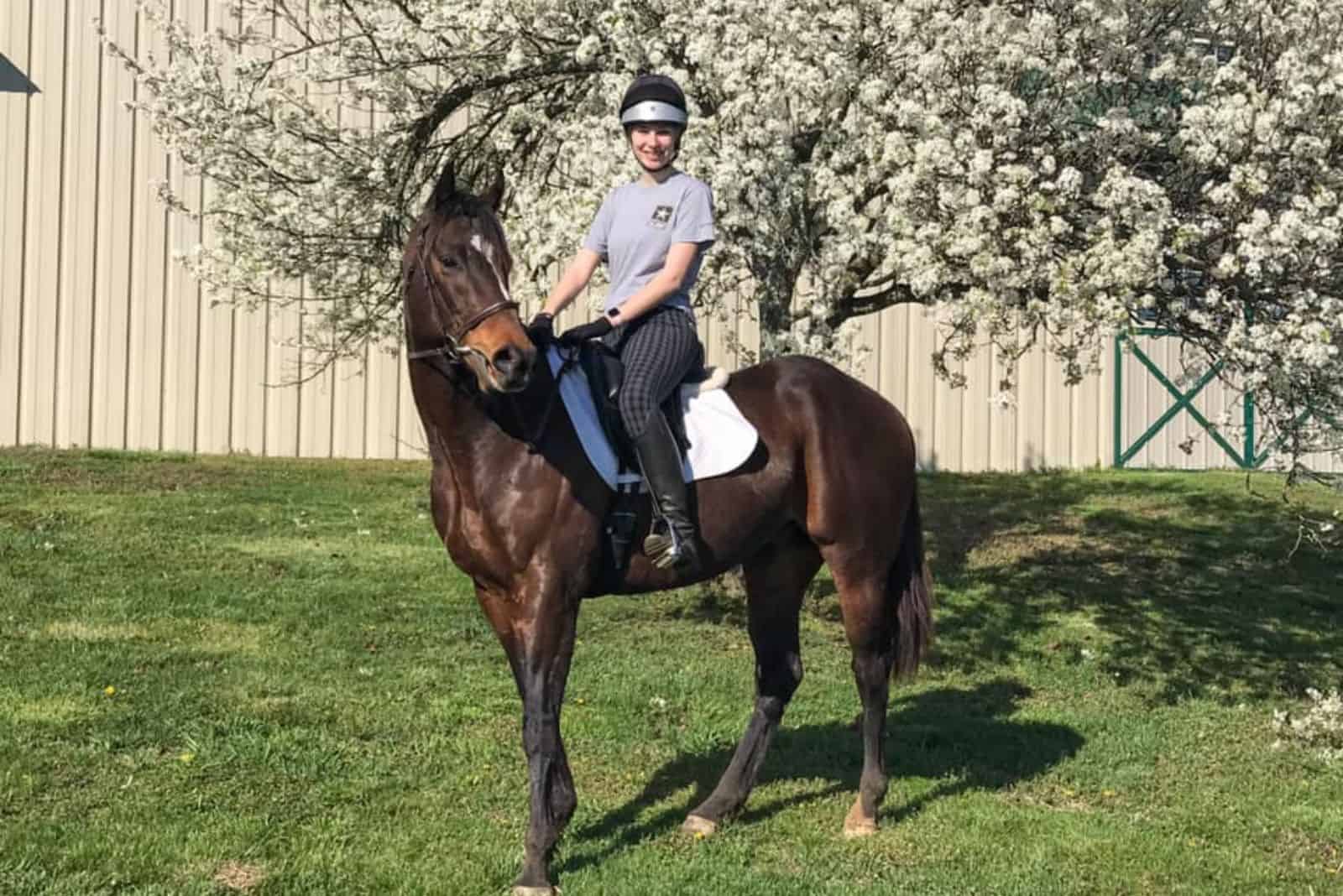 woman riding a horse at sunny day