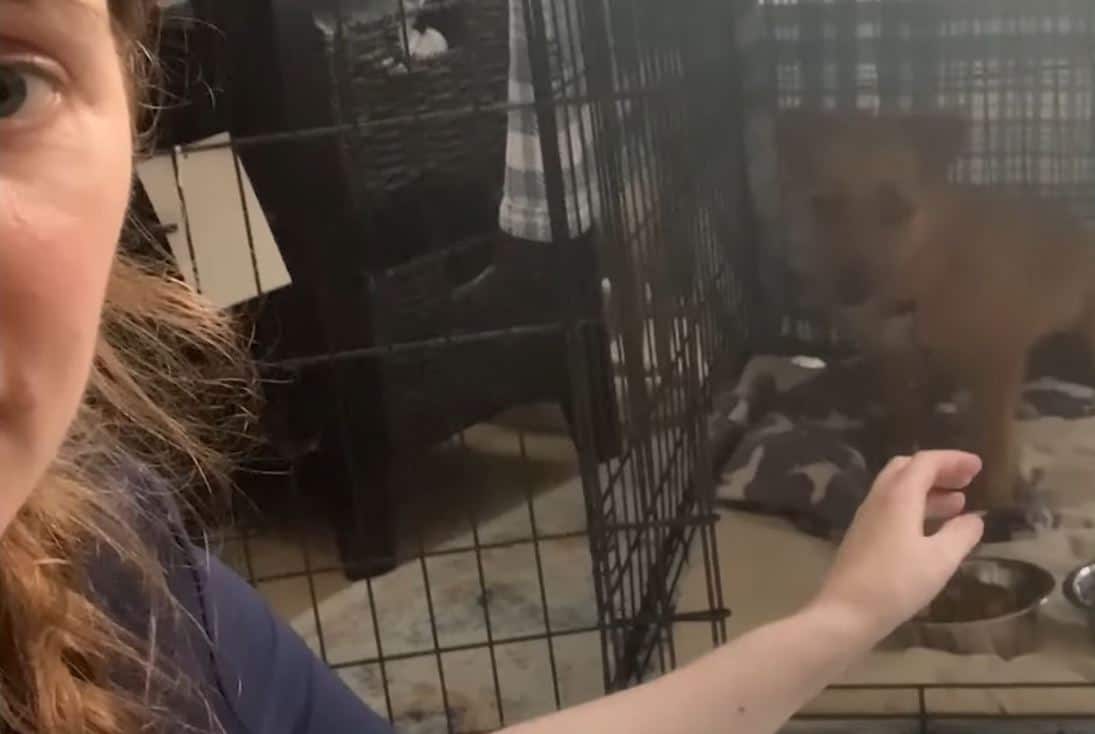 woman sitting by a dog crate with the dog inside