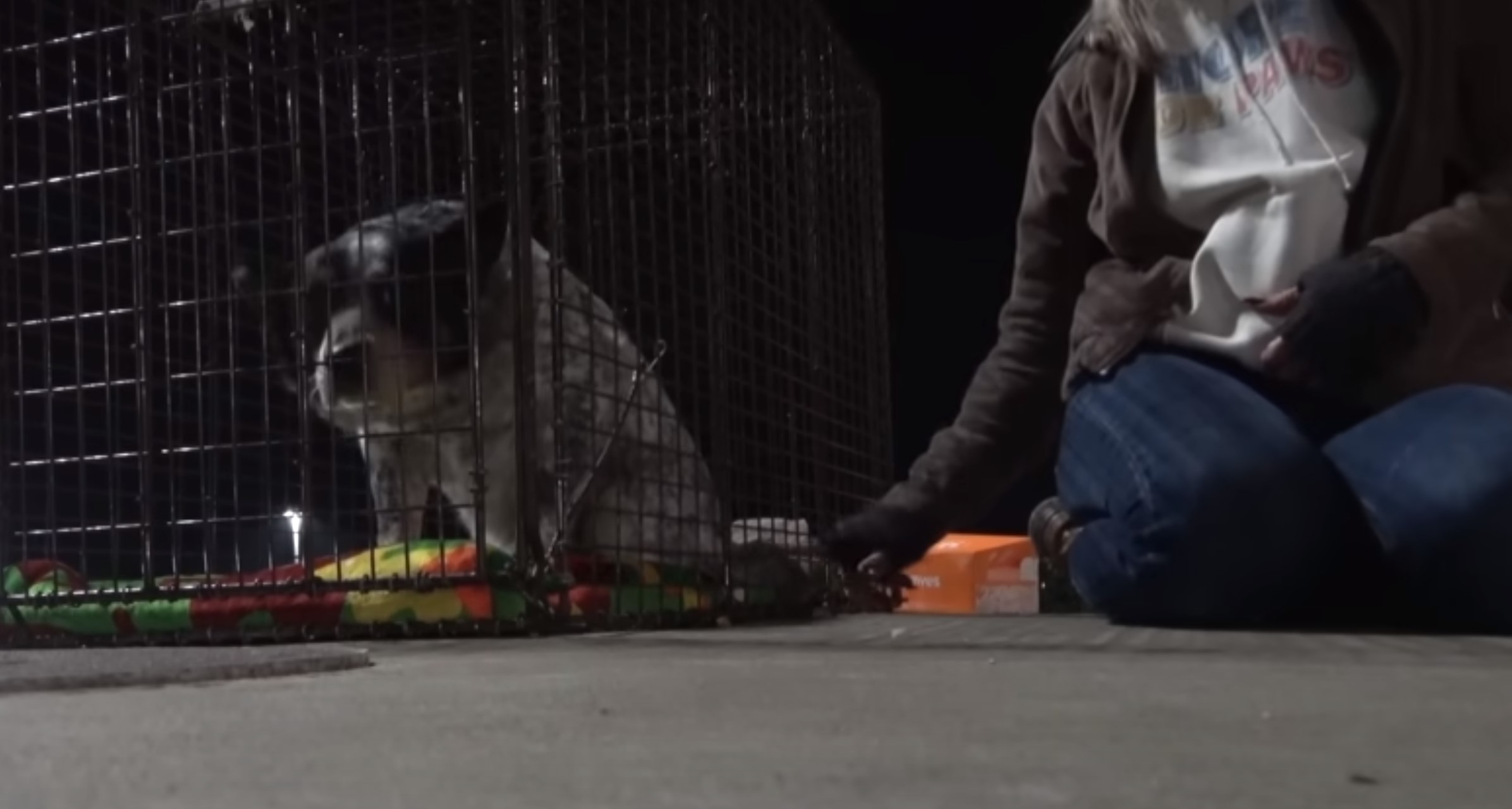 woman sitting next to a dog in a kennel