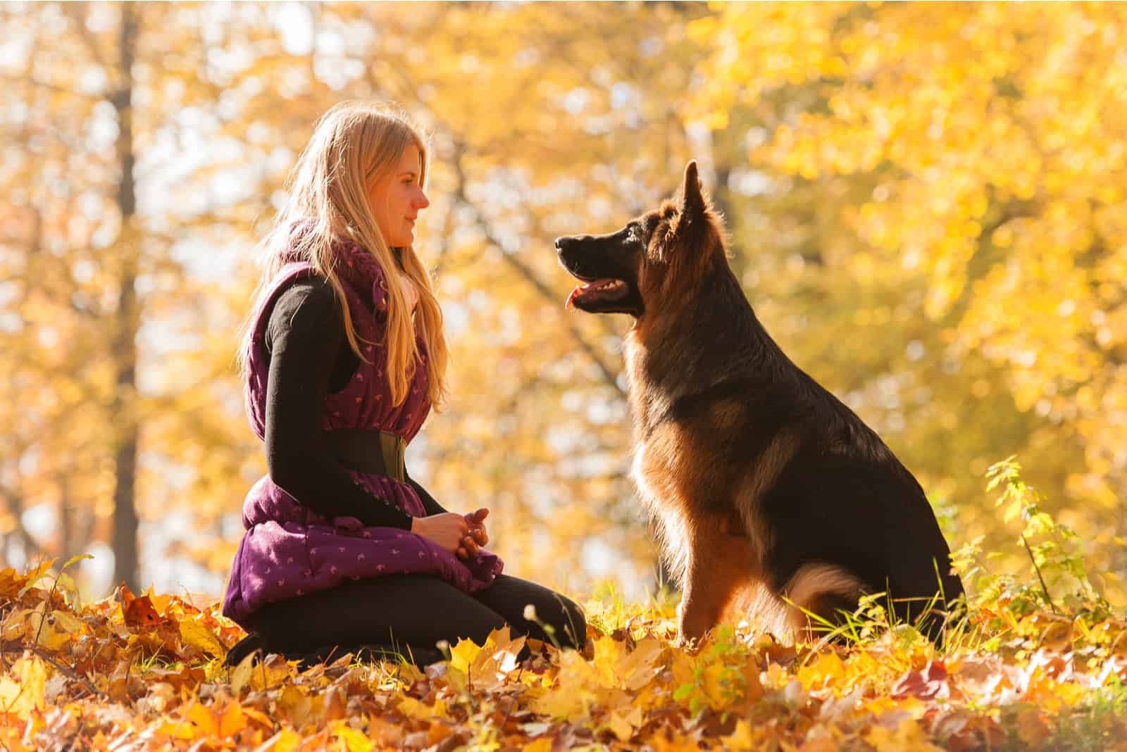 woman sitting next to her german shepherd