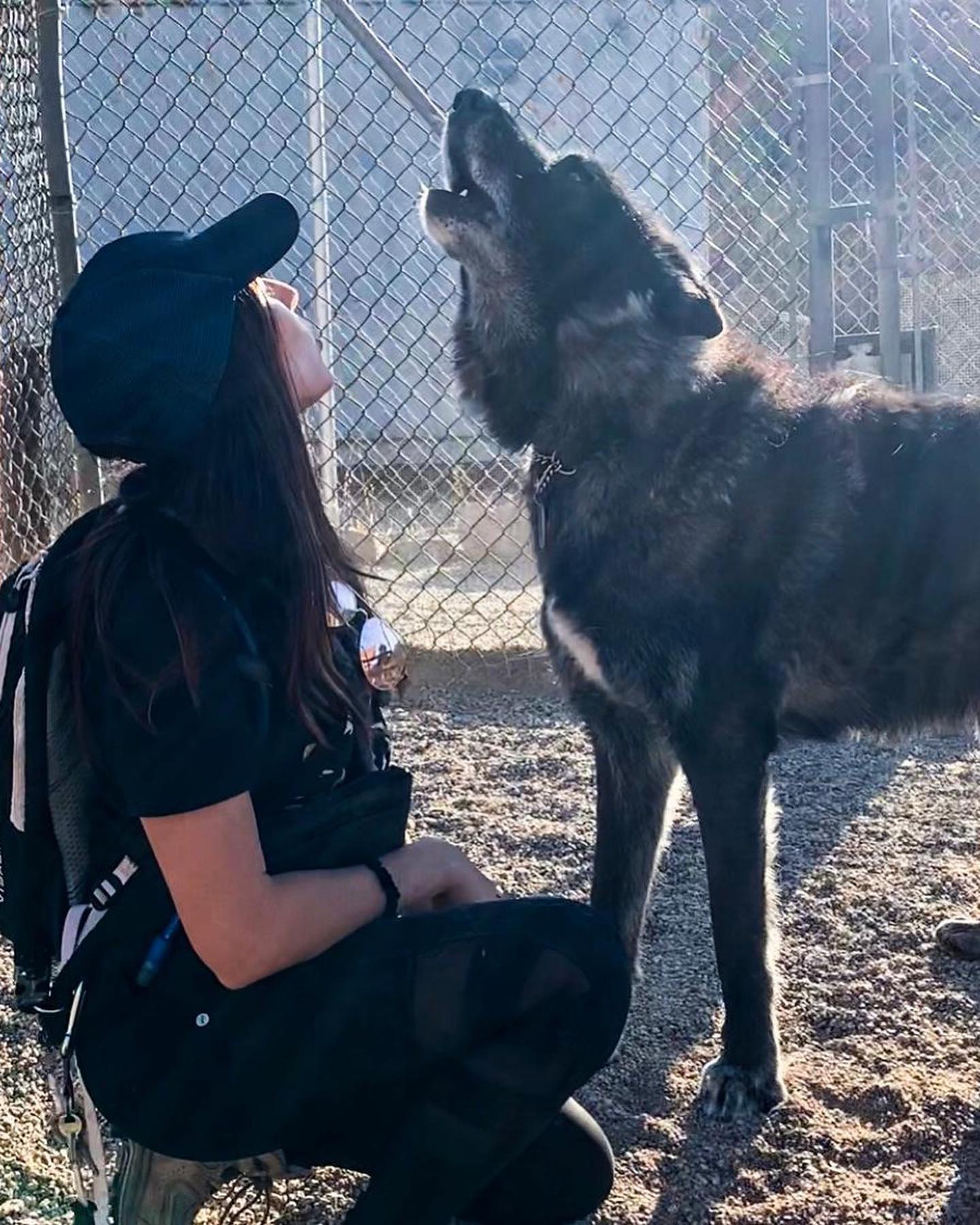 woman sitting next to wolfdog