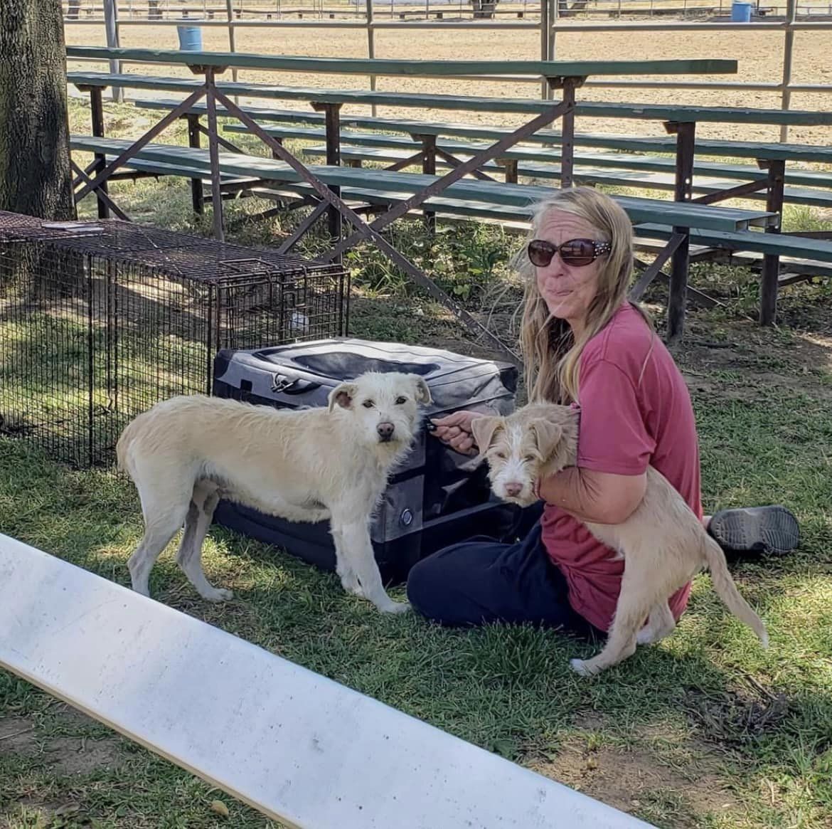 woman sitting on grass with two dogs