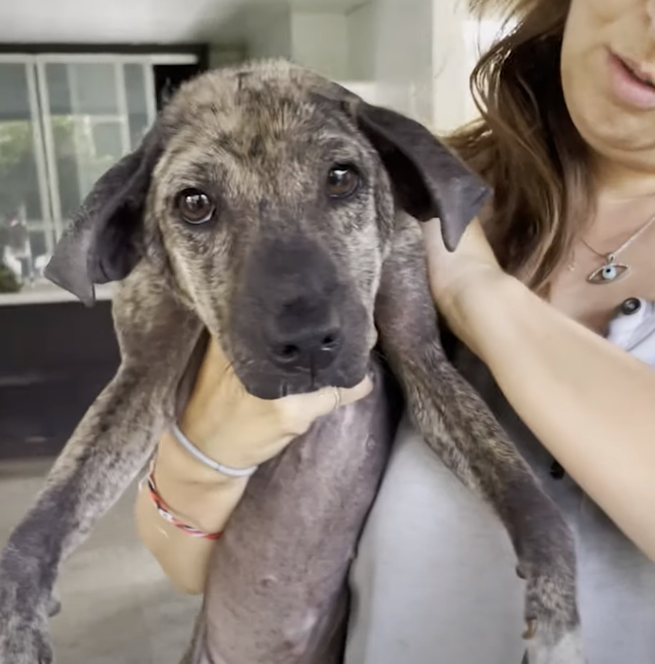 woman taking care of puppy