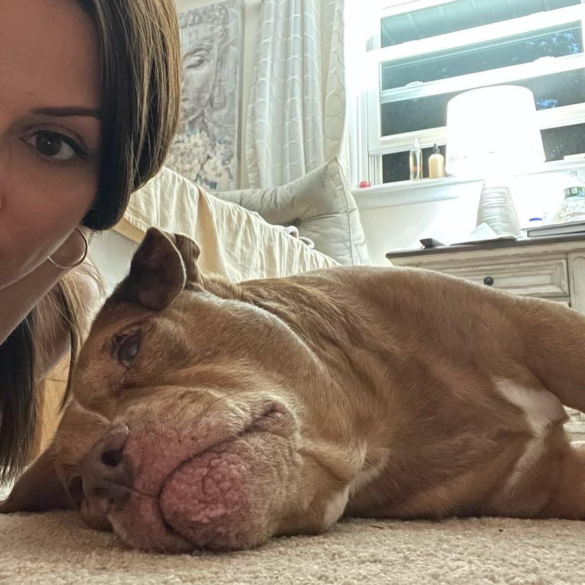 woman taking photo with her dog on the floor