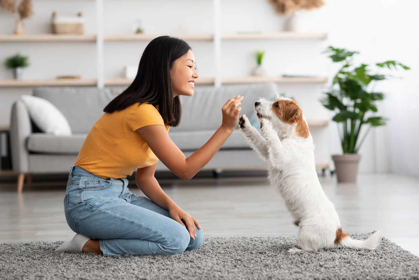 woman training dog