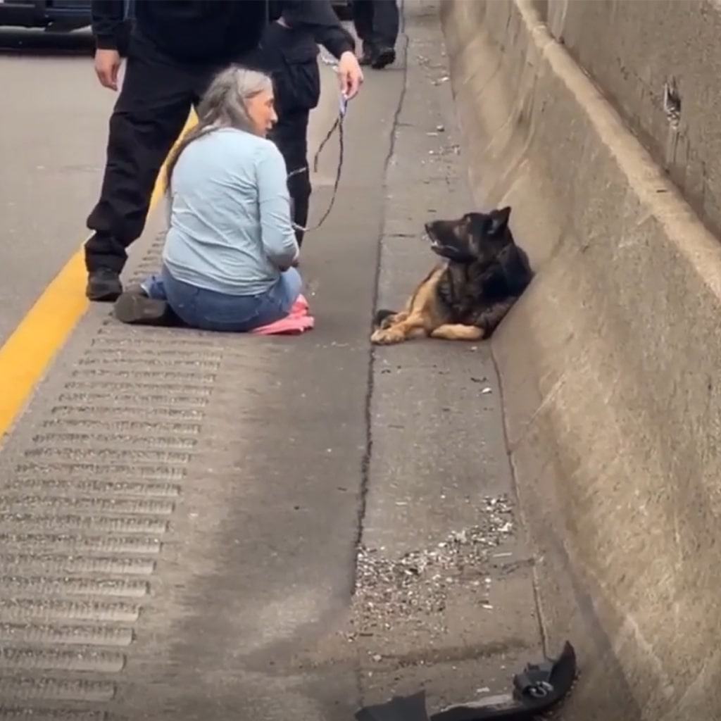 woman trying to save a dog