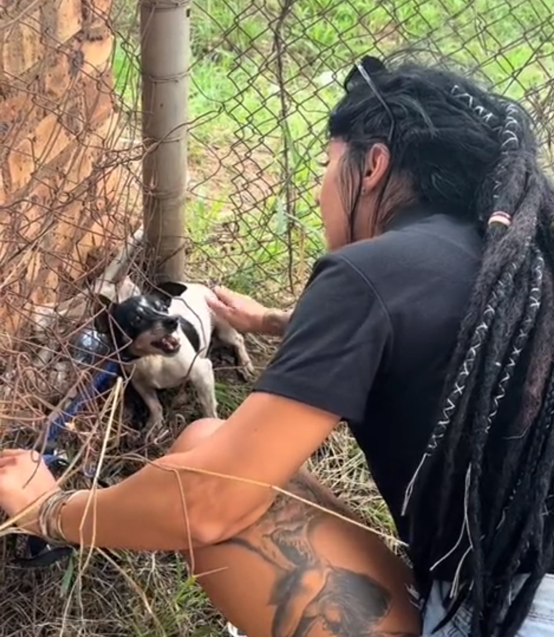 woman trying to touch aggressive dog